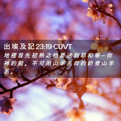 Picture 02 - 出 埃 及 記 23:19 CUVT - 地 裡 首 先 初 熟 之 物 要 送 到 耶 - Bible Verse Picture