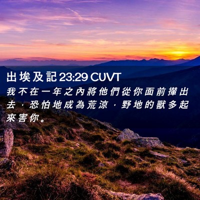 Picture 02 - 出 埃 及 記 23:29 CUVT - 我 不 在 一 年 之 內 將 他 們 從 你 - Bible Verse Picture