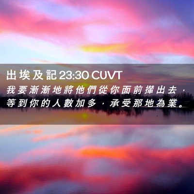 Picture 02 - 出 埃 及 記 23:30 CUVT - 我 要 漸 漸 地 將 他 們 從 你 面 前 - Bible Verse Picture