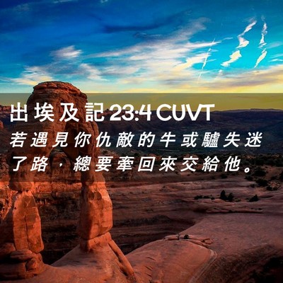 Picture 02 - 出 埃 及 記 23:4 CUVT - 若 遇 見 你 仇 敵 的 牛 或 驢 失 迷 - Bible Verse Picture