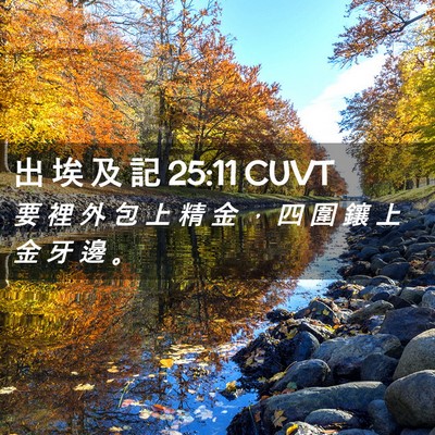 Picture 02 - 出 埃 及 記 25:11 CUVT - 要 裡 外 包 上 精 金 ， 四 圍 鑲 上 - Bible Verse Picture