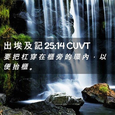 Picture 02 - 出 埃 及 記 25:14 CUVT - 要 把 杠 穿 在 櫃 旁 的 環 內 ， 以 - Bible Verse Picture