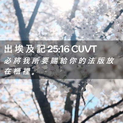 Picture 02 - 出 埃 及 記 25:16 CUVT - 必 將 我 所 要 賜 給 你 的 法 版 放 - Bible Verse Picture