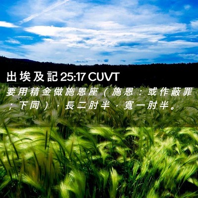 Picture 02 - 出 埃 及 記 25:17 CUVT - 要 用 精 金 做 施 恩 座 （ 施 恩 ： - Bible Verse Picture