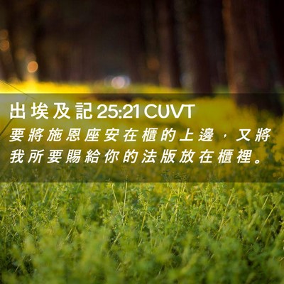Picture 02 - 出 埃 及 記 25:21 CUVT - 要 將 施 恩 座 安 在 櫃 的 上 邊 ， - Bible Verse Picture