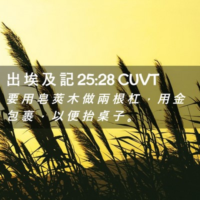 Picture 02 - 出 埃 及 記 25:28 CUVT - 要 用 皂 莢 木 做 兩 根 杠 ， 用 金 - Bible Verse Picture