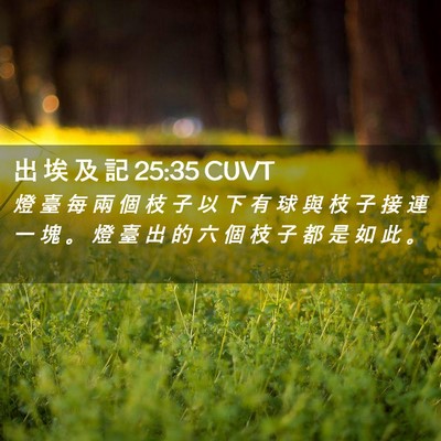 Picture 02 - 出 埃 及 記 25:35 CUVT - 燈 臺 每 兩 個 枝 子 以 下 有 球 與 - Bible Verse Picture