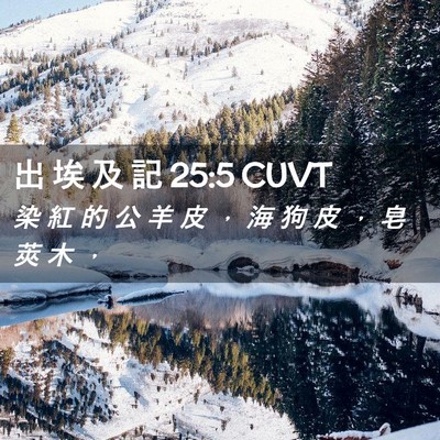 Picture 02 - 出 埃 及 記 25:5 CUVT - 染 紅 的 公 羊 皮 ， 海 狗 皮 ， 皂 - Bible Verse Picture