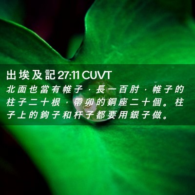Picture 02 - 出 埃 及 記 27:11 CUVT - 北 面 也 當 有 帷 子 ， 長 一 百 肘 - Bible Verse Picture