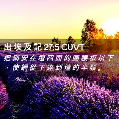 Picture 02 - 出 埃 及 記 27:5 CUVT - 把 網 安 在 壇 四 面 的 圍 腰 板 以 - Bible Verse Picture