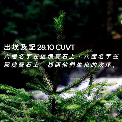 Picture 02 - 出 埃 及 記 28:10 CUVT - 六 個 名 字 在 這 塊 寶 石 上 ， 六 - Bible Verse Picture