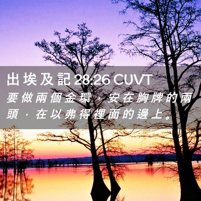 Picture 02 - 出 埃 及 記 28:26 CUVT - 要 做 兩 個 金 環 ， 安 在 胸 牌 的 - Bible Verse Picture