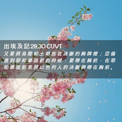 Picture 02 - 出 埃 及 記 28:30 CUVT - 又 要 將 烏 陵 和 土 明 放 在 決 斷 - Bible Verse Picture
