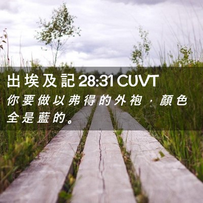 Picture 02 - 出 埃 及 記 28:31 CUVT - 你 要 做 以 弗 得 的 外 袍 ， 顏 色 - Bible Verse Picture