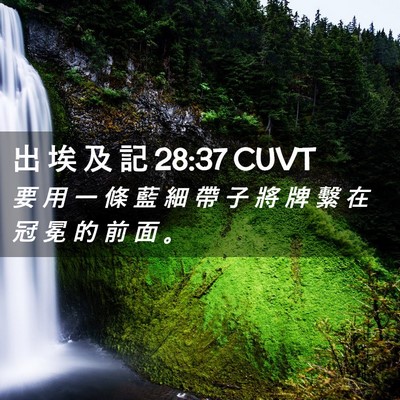 Picture 02 - 出 埃 及 記 28:37 CUVT - 要 用 一 條 藍 細 帶 子 將 牌 繫 在 - Bible Verse Picture