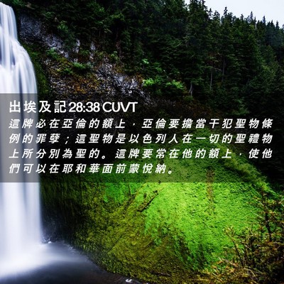 Picture 02 - 出 埃 及 記 28:38 CUVT - 這 牌 必 在 亞 倫 的 額 上 ， 亞 倫 - Bible Verse Picture