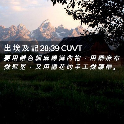 Picture 02 - 出 埃 及 記 28:39 CUVT - 要 用 雜 色 細 麻 線 織 內 袍 ， 用 - Bible Verse Picture