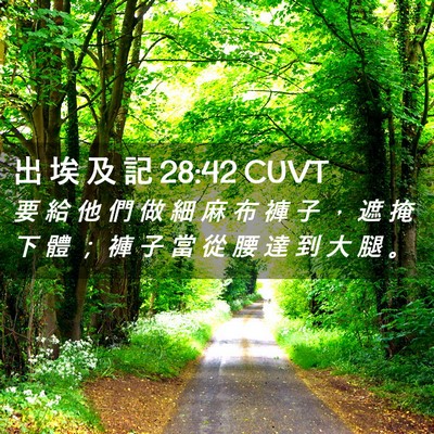Picture 02 - 出 埃 及 記 28:42 CUVT - 要 給 他 們 做 細 麻 布 褲 子 ， 遮 - Bible Verse Picture