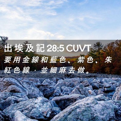 Picture 02 - 出 埃 及 記 28:5 CUVT - 要 用 金 線 和 藍 色 、 紫 色 、 朱 - Bible Verse Picture