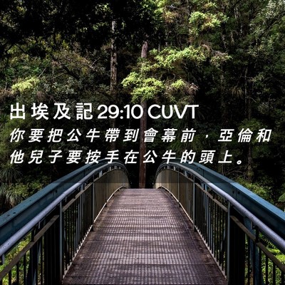 Picture 02 - 出 埃 及 記 29:10 CUVT - 你 要 把 公 牛 帶 到 會 幕 前 ， 亞 - Bible Verse Picture