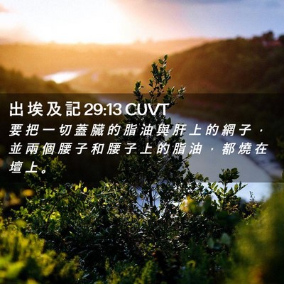 Picture 02 - 出 埃 及 記 29:13 CUVT - 要 把 一 切 蓋 臟 的 脂 油 與 肝 上 - Bible Verse Picture