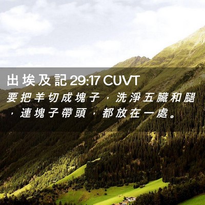 Picture 02 - 出 埃 及 記 29:17 CUVT - 要 把 羊 切 成 塊 子 ， 洗 淨 五 臟 - Bible Verse Picture