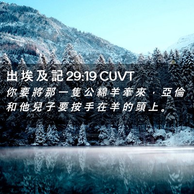 Picture 02 - 出 埃 及 記 29:19 CUVT - 你 要 將 那 一 隻 公 綿 羊 牽 來 ， - Bible Verse Picture