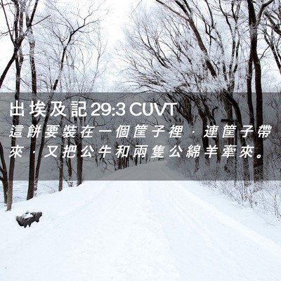 Picture 02 - 出 埃 及 記 29:3 CUVT - 這 餅 要 裝 在 一 個 筐 子 裡 ， 連 - Bible Verse Picture