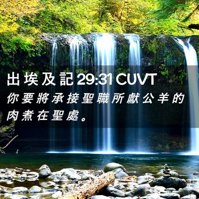 Picture 02 - 出 埃 及 記 29:31 CUVT - 你 要 將 承 接 聖 職 所 獻 公 羊 的 - Bible Verse Picture