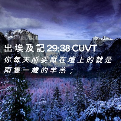 Picture 02 - 出 埃 及 記 29:38 CUVT - 你 每 天 所 要 獻 在 壇 上 的 就 是 - Bible Verse Picture