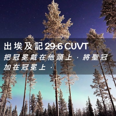 Picture 02 - 出 埃 及 記 29:6 CUVT - 把 冠 冕 戴 在 他 頭 上 ， 將 聖 冠 - Bible Verse Picture