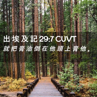 Picture 02 - 出 埃 及 記 29:7 CUVT - 就 把 膏 油 倒 在 他 頭 上 膏 他 - Bible Verse Picture