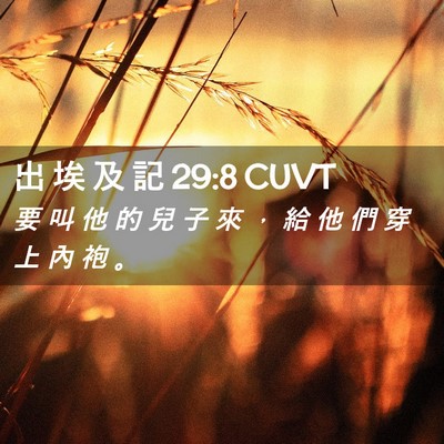 Picture 02 - 出 埃 及 記 29:8 CUVT - 要 叫 他 的 兒 子 來 ， 給 他 們 穿 - Bible Verse Picture