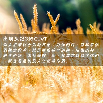 Picture 02 - 出 埃 及 記 3:16 CUVT - 你 去 招 聚 以 色 列 的 長 老 ， 對 - Bible Verse Picture