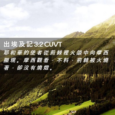 Picture 02 - 出 埃 及 記 3:2 CUVT - 耶 和 華 的 使 者 從 荊 棘 裡 火 燄 - Bible Verse Picture