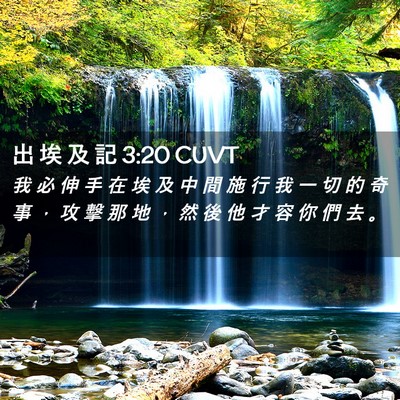 Picture 02 - 出 埃 及 記 3:20 CUVT - 我 必 伸 手 在 埃 及 中 間 施 行 我 - Bible Verse Picture