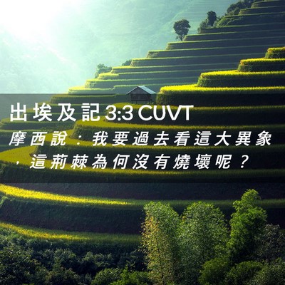 Picture 02 - 出 埃 及 記 3:3 CUVT - 摩 西 說 ： 我 要 過 去 看 這 大 異 - Bible Verse Picture