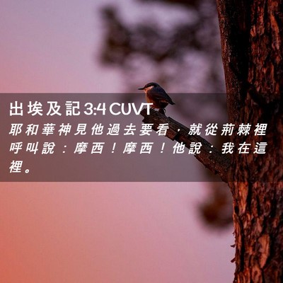 Picture 02 - 出 埃 及 記 3:4 CUVT - 耶 和 華 神 見 他 過 去 要 看 ， 就 - Bible Verse Picture