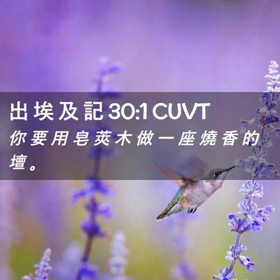 Picture 02 - 出 埃 及 記 30:1 CUVT - 你 要 用 皂 莢 木 做 一 座 燒 香 的 - Bible Verse Picture