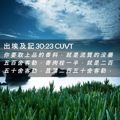 Picture 02 - 出 埃 及 記 30:23 CUVT - 你 要 取 上 品 的 香 料 ， 就 是 流 - Bible Verse Picture