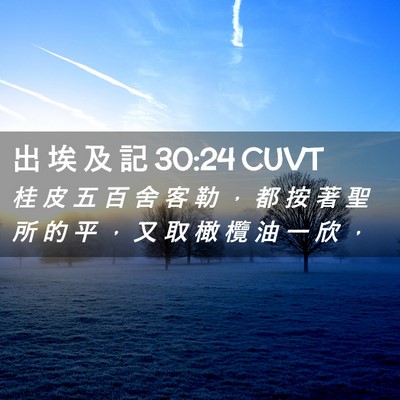 Picture 02 - 出 埃 及 記 30:24 CUVT - 桂 皮 五 百 舍 客 勒 ， 都 按 著 聖 - Bible Verse Picture