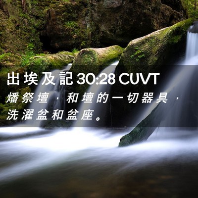 Picture 02 - 出 埃 及 記 30:28 CUVT - 燔 祭 壇 ， 和 壇 的 一 切 器 具 ， - Bible Verse Picture