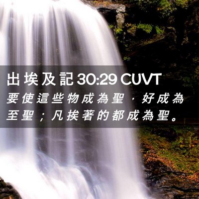 Picture 02 - 出 埃 及 記 30:29 CUVT - 要 使 這 些 物 成 為 聖 ， 好 成 為 - Bible Verse Picture