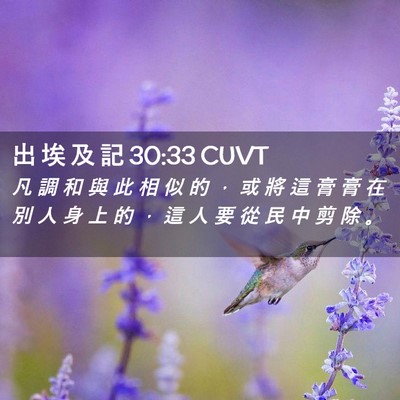 Picture 02 - 出 埃 及 記 30:33 CUVT - 凡 調 和 與 此 相 似 的 ， 或 將 這 - Bible Verse Picture