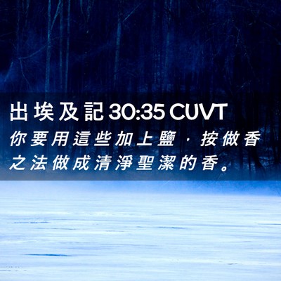 Picture 02 - 出 埃 及 記 30:35 CUVT - 你 要 用 這 些 加 上 鹽 ， 按 做 香 - Bible Verse Picture