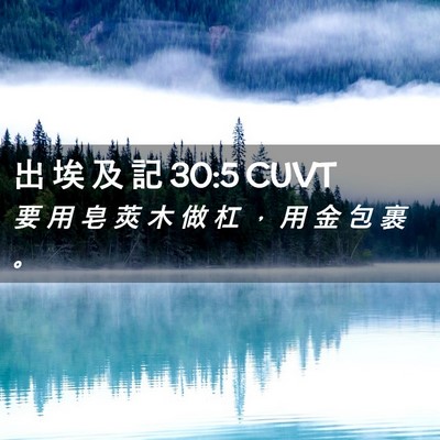 Picture 02 - 出 埃 及 記 30:5 CUVT - 要 用 皂 莢 木 做 杠 ， 用 金 包 裹 - Bible Verse Picture
