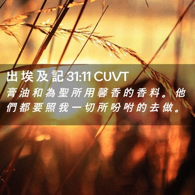 Picture 02 - 出 埃 及 記 31:11 CUVT - 膏 油 和 為 聖 所 用 馨 香 的 香 料 - Bible Verse Picture
