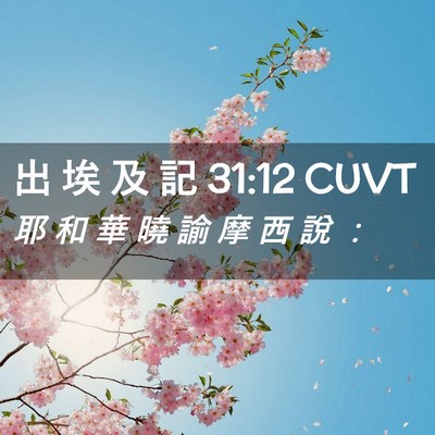 Picture 02 - 出 埃 及 記 31:12 CUVT - 耶 和 華 曉 諭 摩 西 說 - Bible Verse Picture