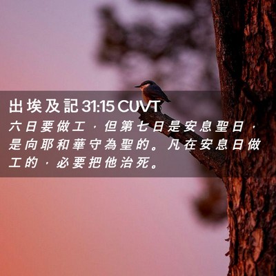 Picture 02 - 出 埃 及 記 31:15 CUVT - 六 日 要 做 工 ， 但 第 七 日 是 安 - Bible Verse Picture