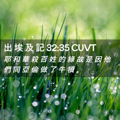 Picture 02 - 出 埃 及 記 32:35 CUVT - 耶 和 華 殺 百 姓 的 緣 故 是 因 他 - Bible Verse Picture